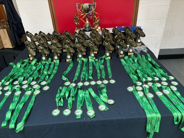Medals and trophies for an event by Dun Laoghaire Lions Club